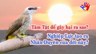 Nghiệp lực tạo ra Nhân Duyên của đời này? Tâm Tật đố gây hại ra sao?