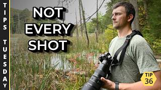 Why You Don't Need to Photograph Every Animal You See | Tips Tuesday 36