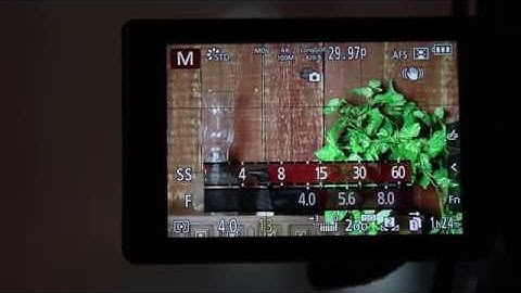 Lumix GH5, Constant Preview, is this a bug?