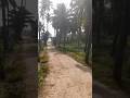 #happyvishu #vishu #tamilnadu #youtubeshorts #shorts #celebration
