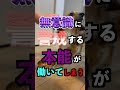 犬にしてはいけない愛情表現5選 #shorts