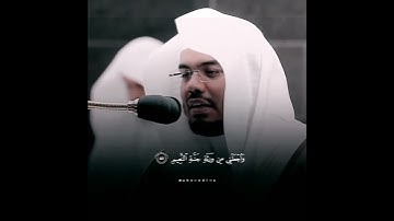 أجمل تلاوة هادئة لسورة الشعراء بصوت إمام المسجد الحرام الشيخ ياسر بن راشد الدوسري#تلاوة_القرآن