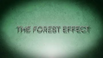 The Forest Effect - Reducing Deforestation in the Amazon