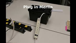 Merlin