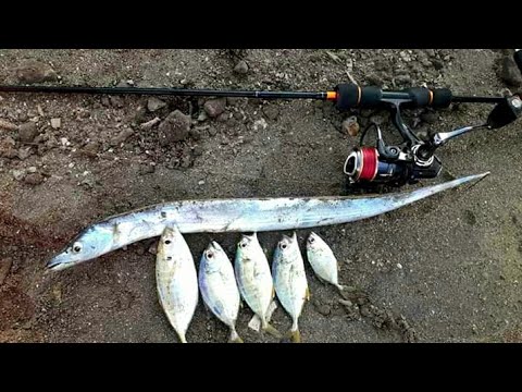 mancing pakai umpan karet pentil