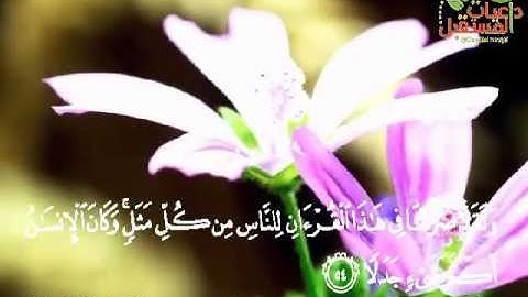 #تلاوة خاشعة بصوت القارئ مشاري البغلي 🌿