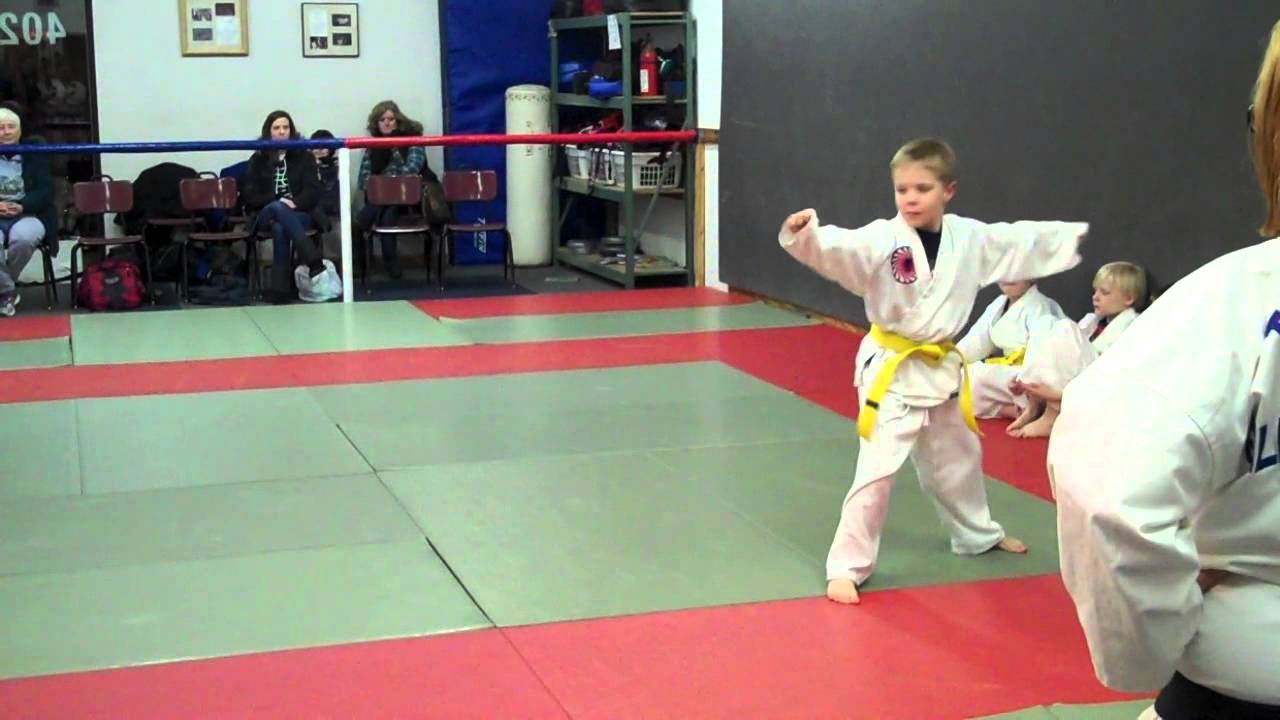 Taekwondo Yellow Belt Test Form 01/09/2015 YouTube