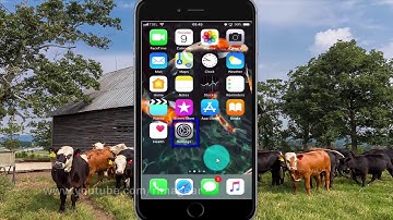 How to enable or disable characters hints feedback on iPhone 6