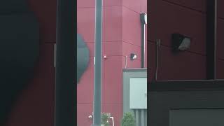 System Sensor Spectralert Advance P4RK Horn Strobe