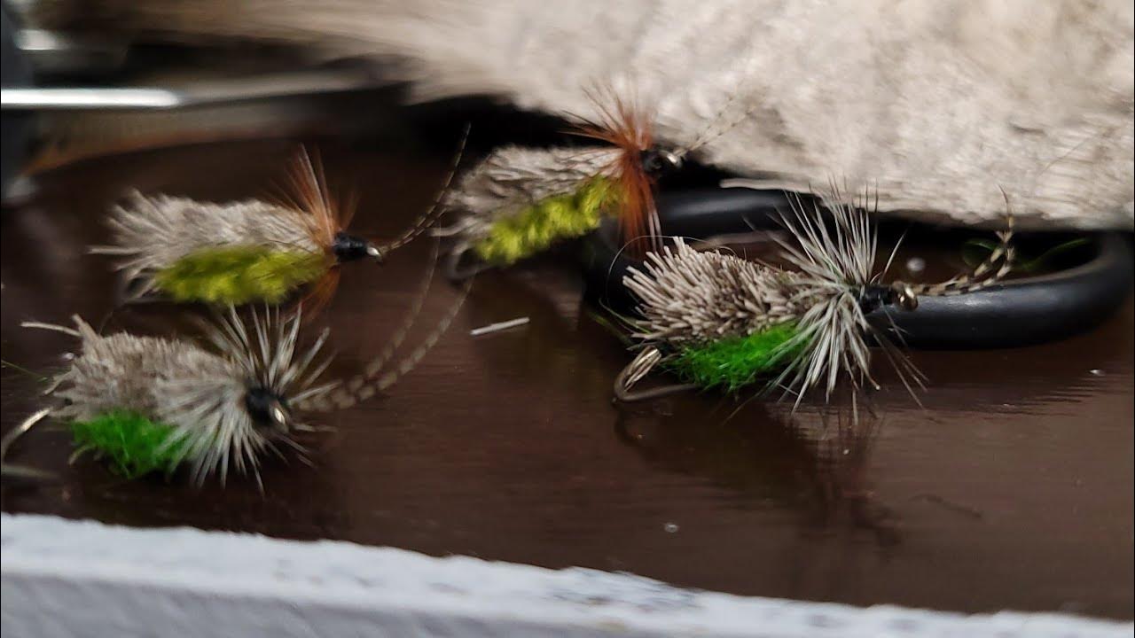Tying Goddard Caddis Fly (Trout Fishing Fly) YouTube
