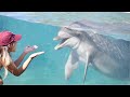 Dolphin Encounter (Full interaction) - SeaWorld San Diego - August 25, 2023