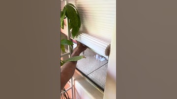 Levolor Cordless Cellular Blinds Won