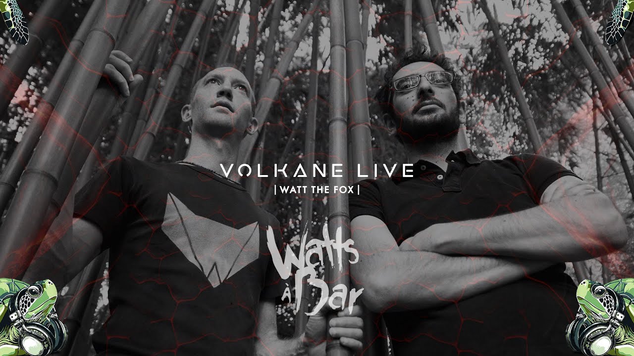 Watt The Fox ~ Watt's A Bar Festival 2025