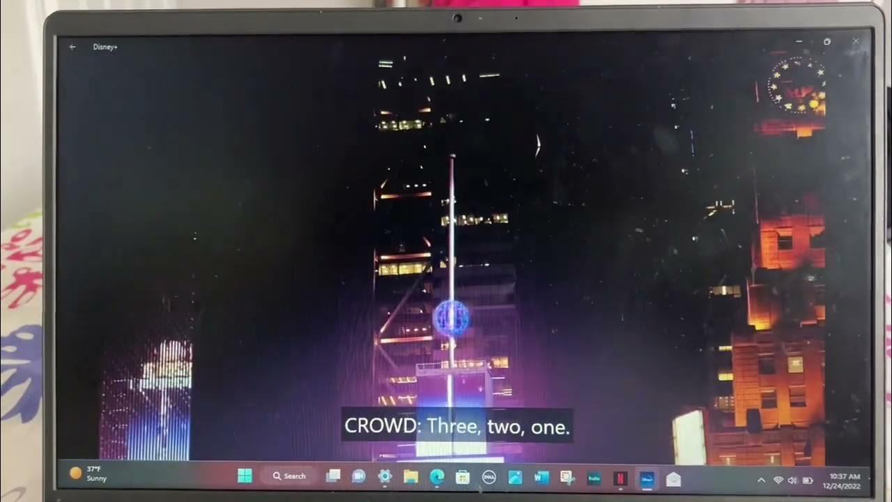 Zuri gets out of the New Year’s Eve ball YouTube