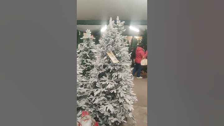 Bradul de Crăciun🎄🧑‍🎄🎁