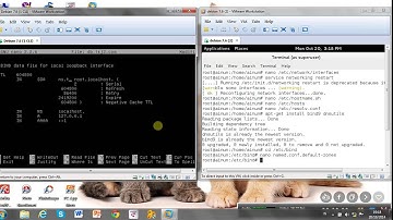 Konfigurasi Dns Master & Slave Debian 7.6
