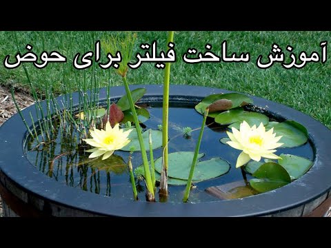 تصویری: چگونه از قاتلان پنهان شویم (با تصاویر)