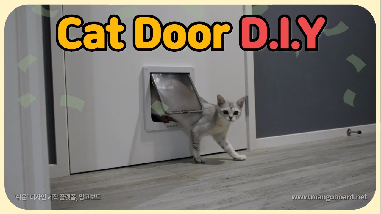 캣도어를 설치해 주었습니다 DIY Cat door installation YouTube