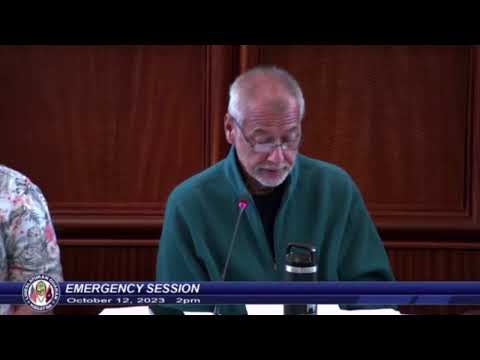 Legislative resolution declares