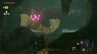 Zelda Tears Of The Kingdom Kisses Of Like Likes