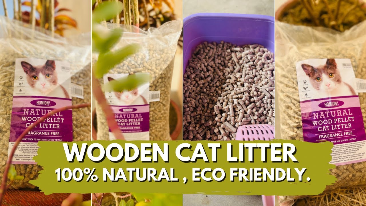 "Discover the Ultimate EcoFriendly & BudgetFriendly Cat Litter from