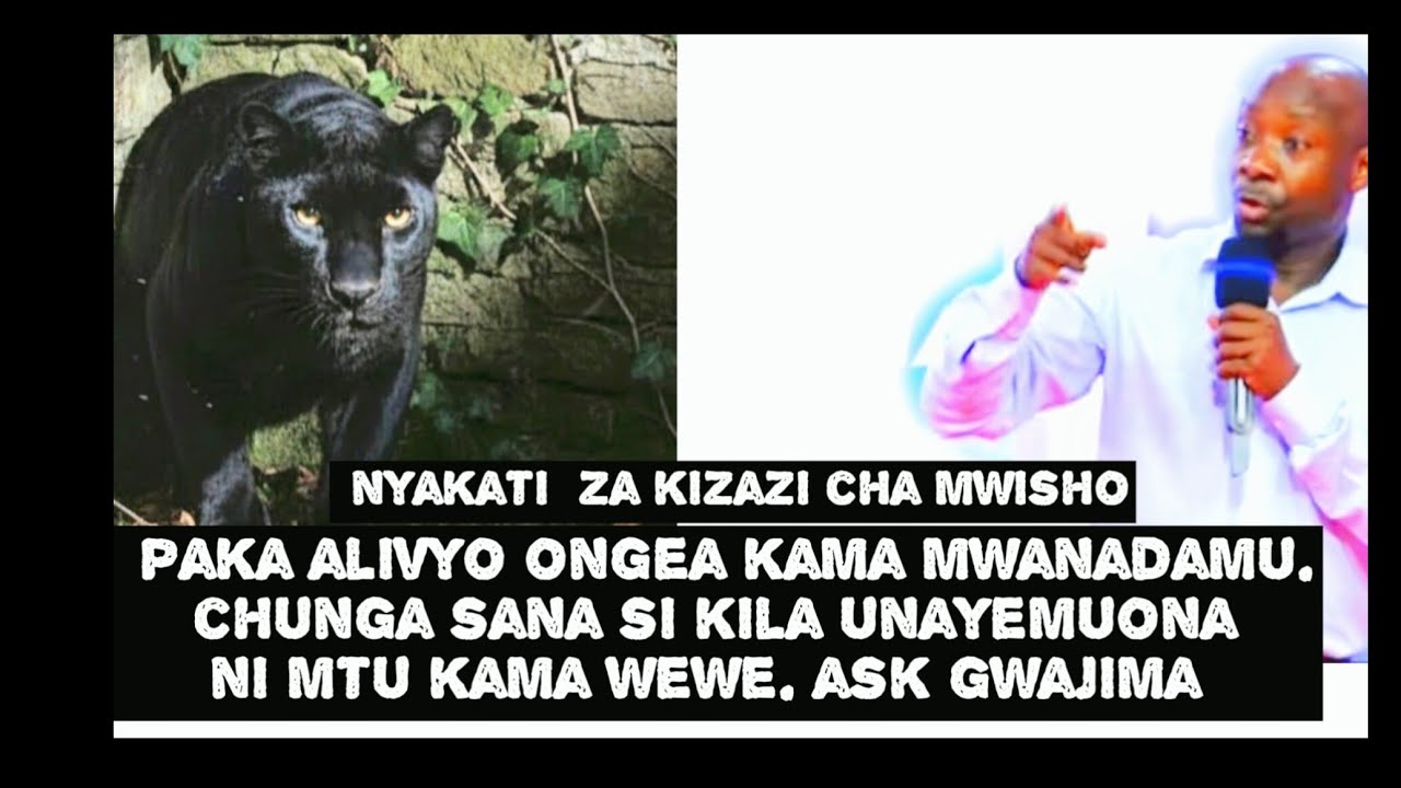 ASKOFU GWAJIMA:NAMNA PAKA ALIVYOONGEA KAMA BINADAMU