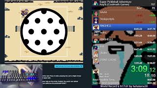 Super Pickleball Adventure Any World Record 9 16 033