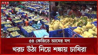 এক মণ আমে ১৪ কেজি বেশি নিচ্ছেন আড়তদাররা | Chapainawabganj Mango | Somoy TV