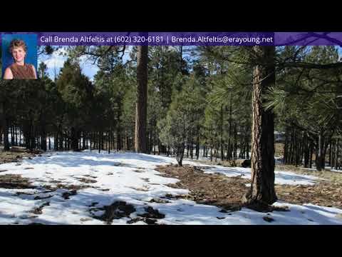 4373 Juniper Drive, Happy Jack, AZ home video tour