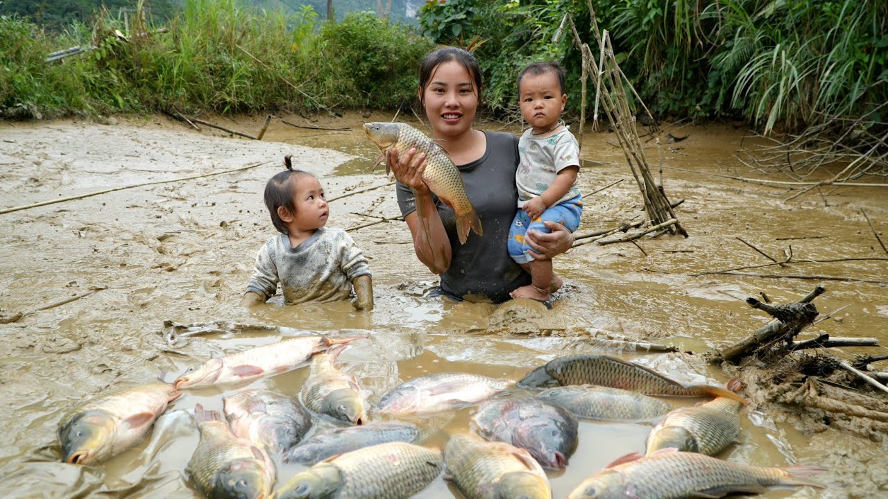 Harvesting a giant fish pond and bringing it to the market to sell with ...
