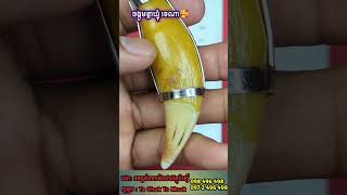 តើជាចង្កូមអ្វី?