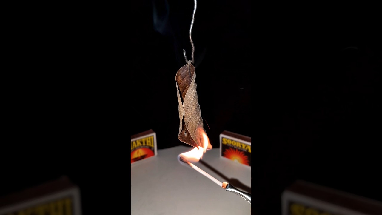 Burning a Leaf with Fire 🔥 | Satisfying 🍂 