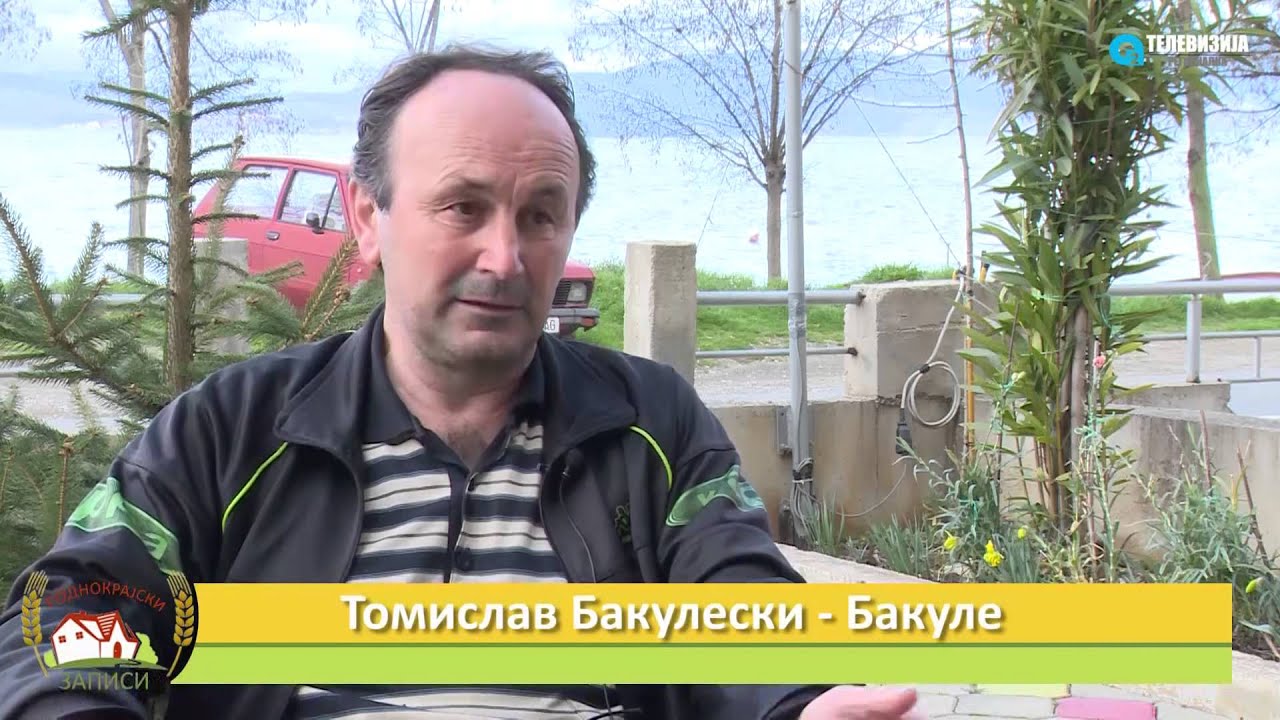 RODNOKRAJSKI ZAPISI - PESTANI (PRV DEL)