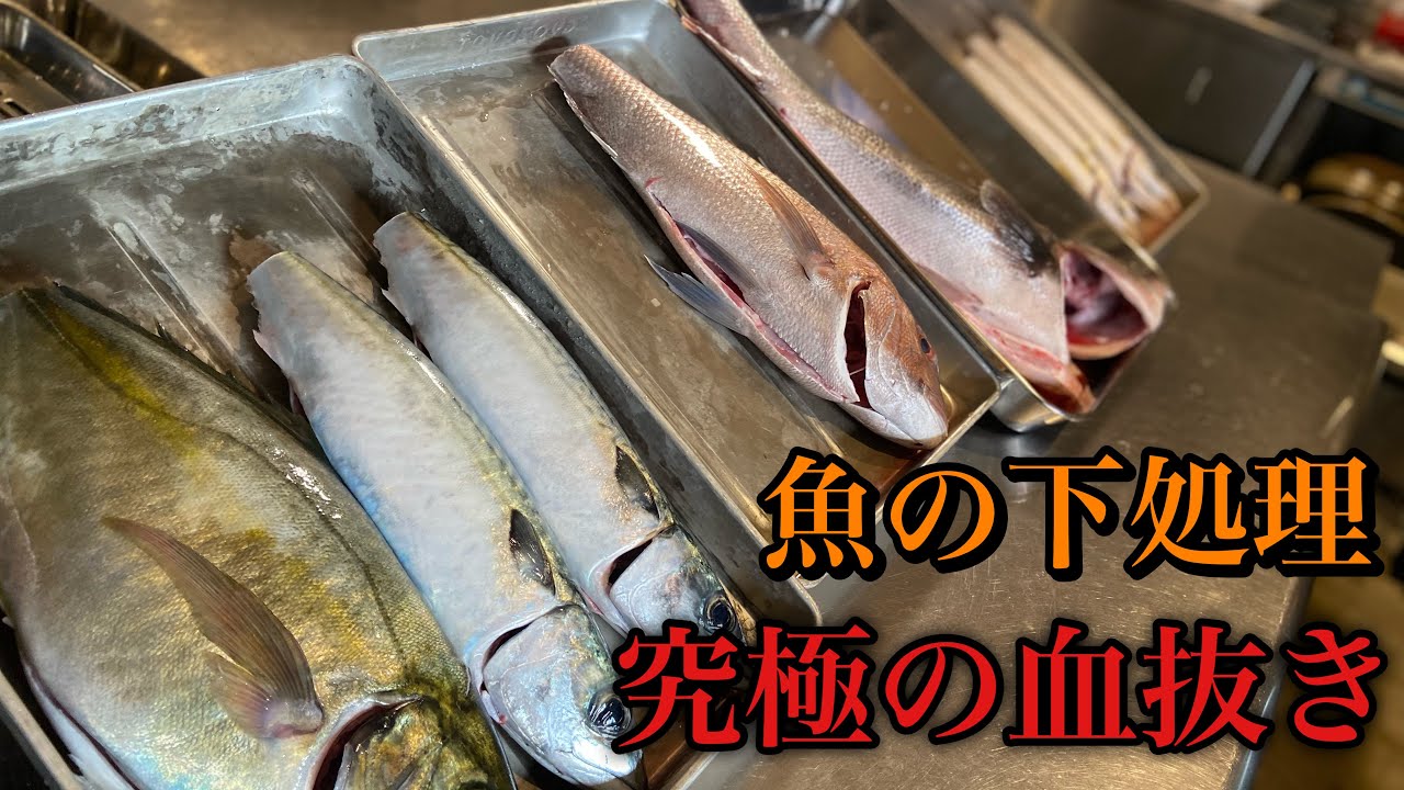 津本式　究極の血抜き　熟成魚 津本式究極の血抜き④ 神津島からの「採算度外視セット」を37