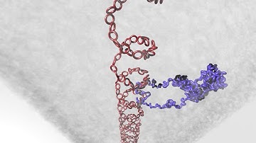 A pathway for mitotic chromosome formation