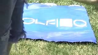How to recycle a DOLFINO pool wmv