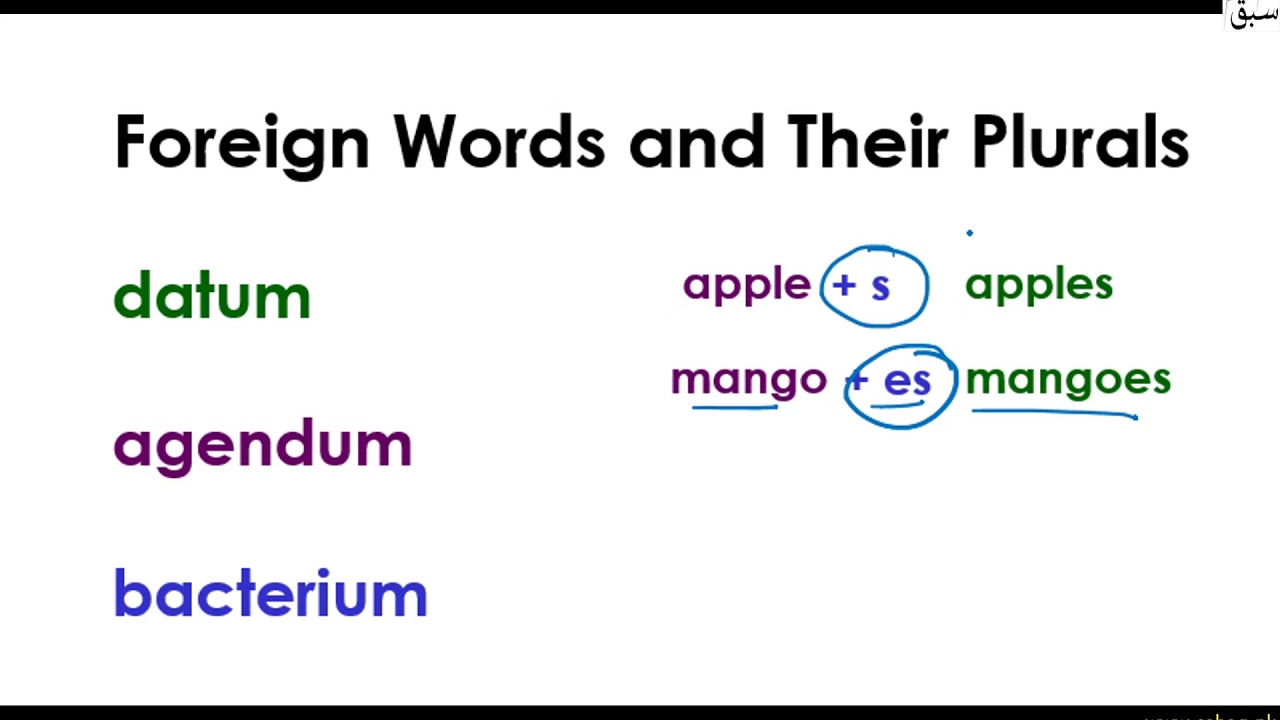 Foreign Words and their Plurals, English Lecture Sabaq.pk YouTube