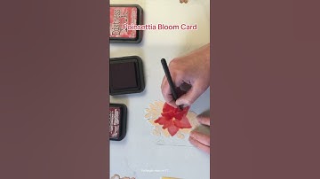 Poinsettia Bloom Card #cardmaking #diecutting #shorts