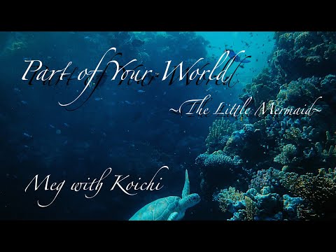 【リトルマーメイド】"Part of your World" 〜The Little Mermaid〜