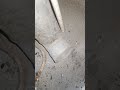 it trapped through the pipe simply #shorts
