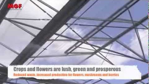 Greenhouse humidification with MGF misting systems