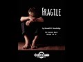 Fragile randall standridge grade 152 concert band  part of the unbroken project