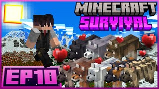 Minecraft Survival: Domestiquei os Novos Lobos!!! EP10