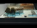 Environmental Design at ArtCenter College of Design Environmental Design at ArtCenter College of Design