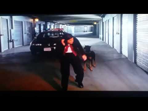 K-911 funny storage scene