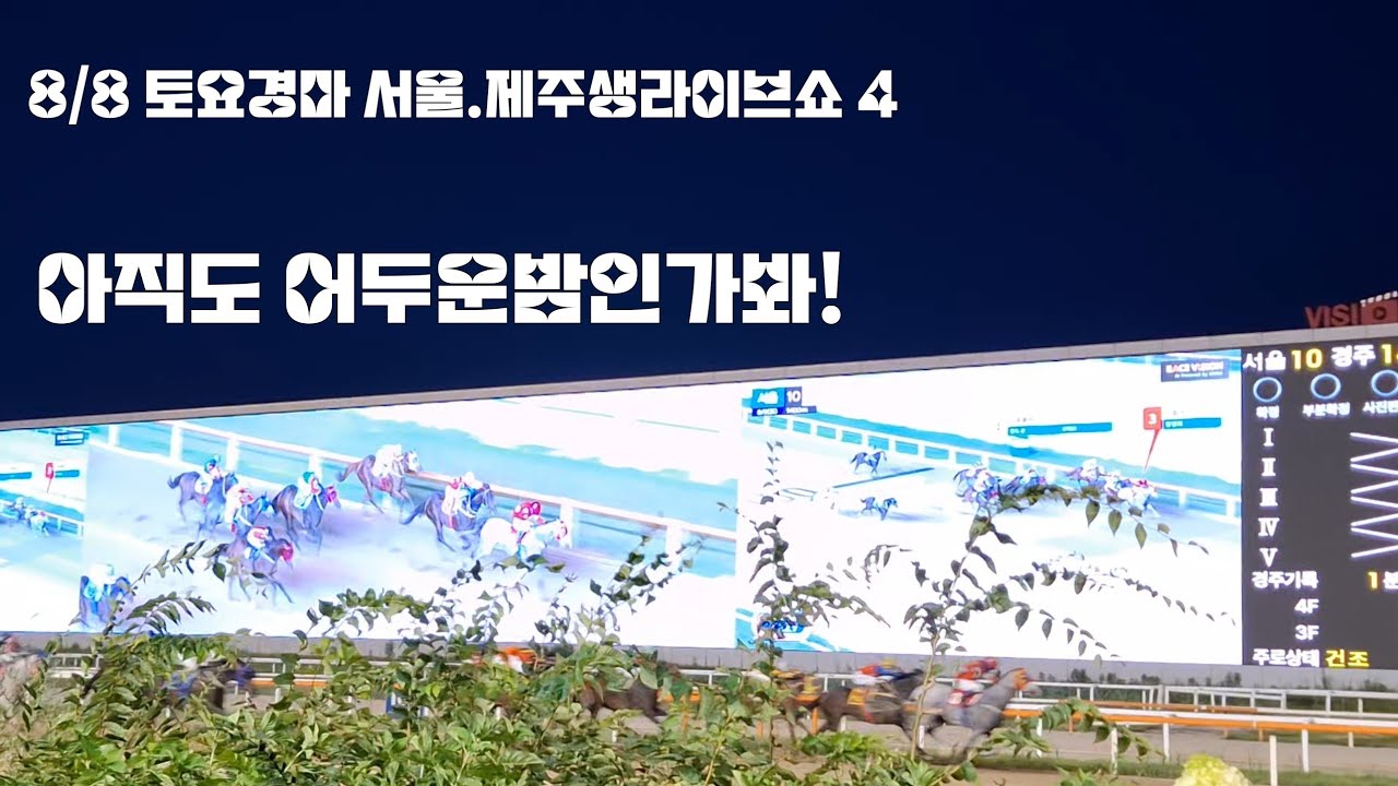 8월 첫 야간경마 역쉬 선행마가 대세!(토요경마  서울 제주 생라이브쇼 4)