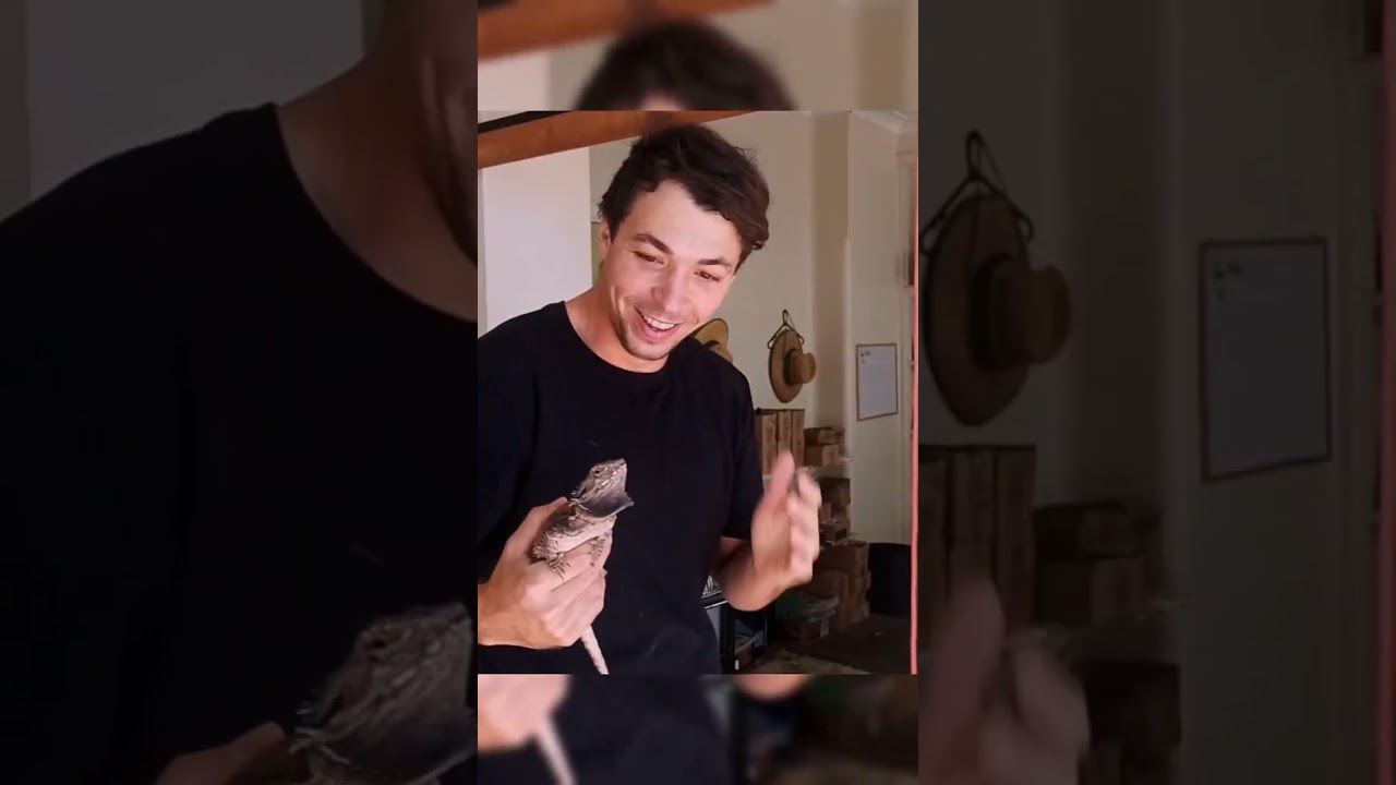 Animales en Australia 🇦🇺 Video completo en Youtube, link en la bio 😀 #australia #viajes #viajar #