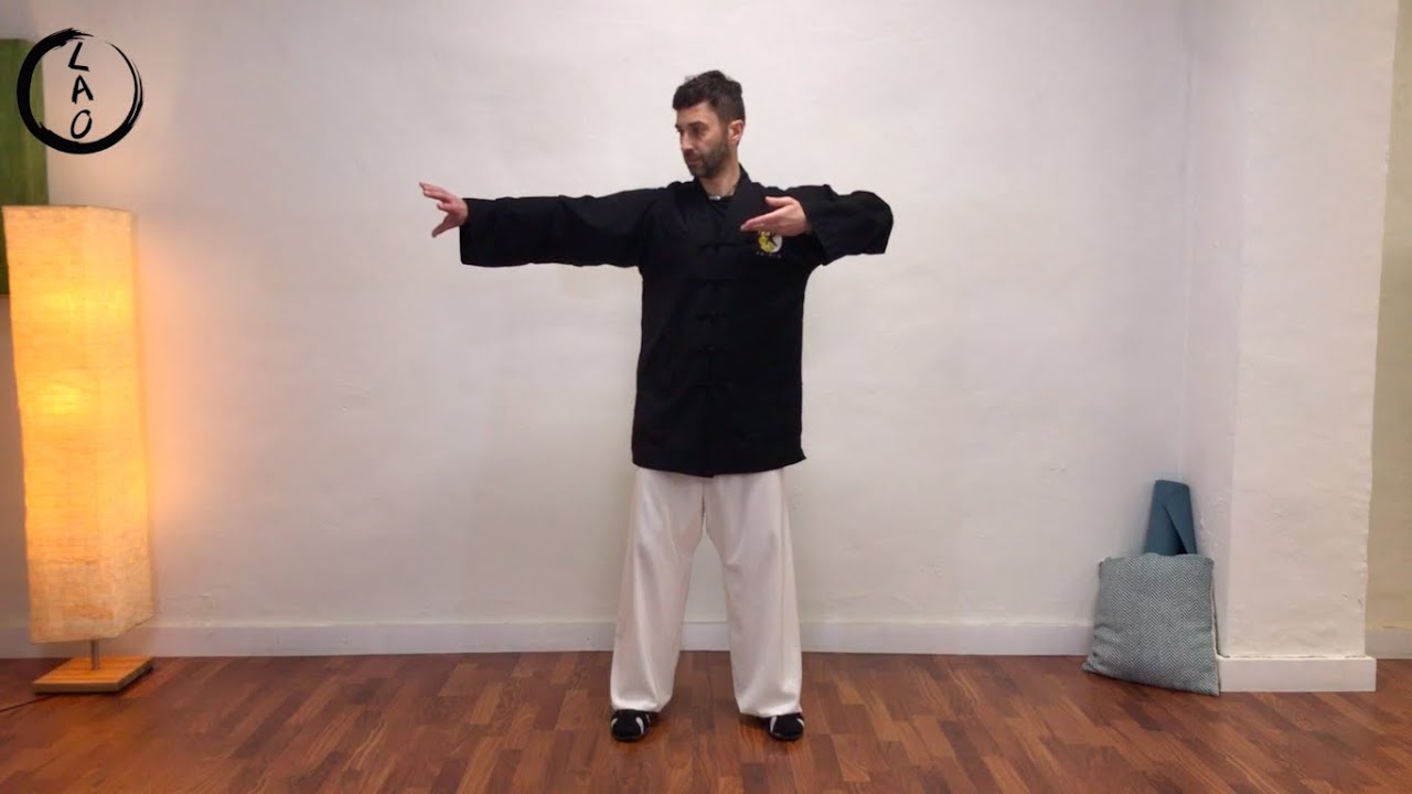 Clase de Qi Gong - Serpiente de Wudang