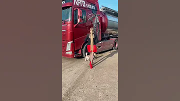 اجمل بنت روسية تركب VOLVO حديث شي فاخر عل اخر 