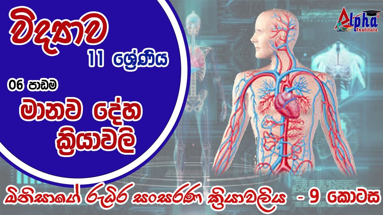 Science - G 11 | 6 පාඩම - මානව දේහ ක්‍රියාවලි - රුධිර සංසරණ පද්ධතිය 9 ...
